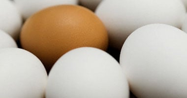 البيض يعد مصدراً لفيتامين "د" المهم للنساء الحوامل