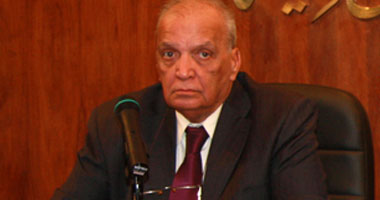 الدكتور محمد نور فرحات رئيس الأمانة العامة للمجلس الوطنى