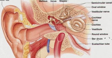 التهاب الأذن الوسطى - صورة أرشيفية